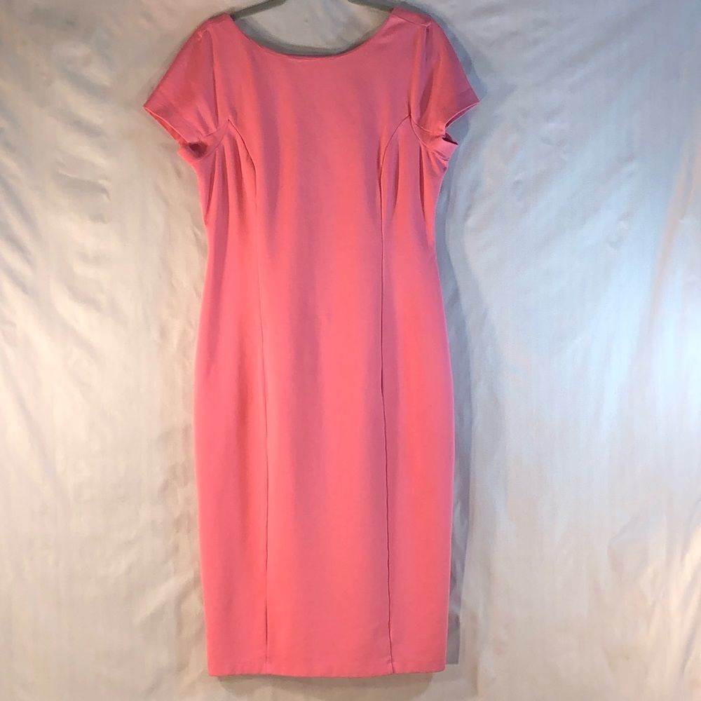 Daniel Cremieux Pink Short Sleeve Mid Length Sheath Dress Scoop Back M 👍